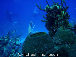 Divers in the distance by Michael Thompson 